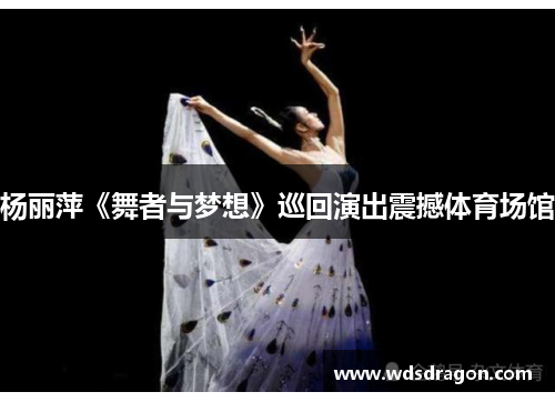 杨丽萍《舞者与梦想》巡回演出震撼体育场馆